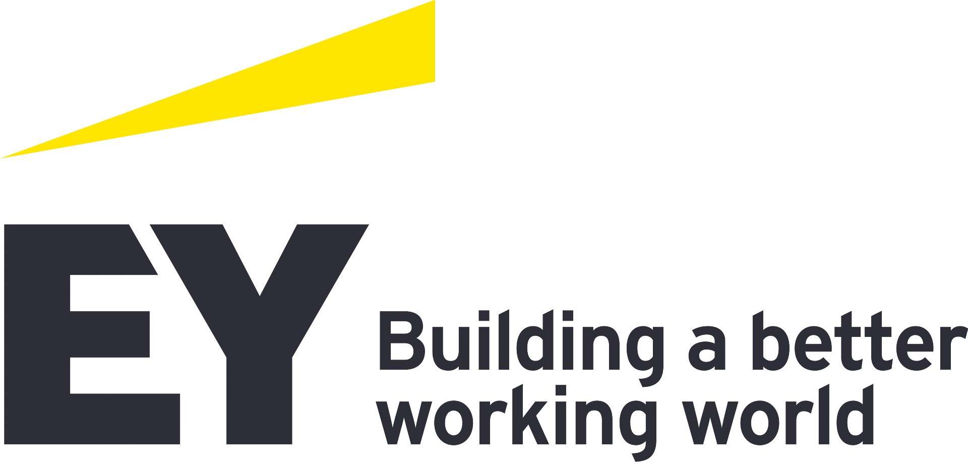 Ernst & Young GmbH 